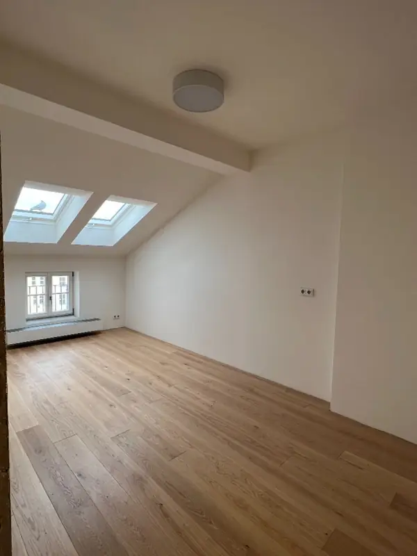 Attic renovation — Československé armády 12 – 7