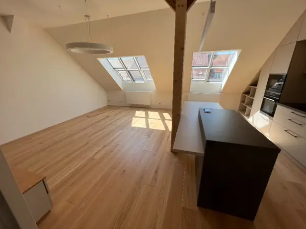 Attic renovation — Československé armády 12 – 9