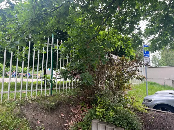 School entrance revitalization — Nový PORG – 35