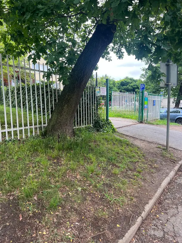 School entrance revitalization — Nový PORG – 37